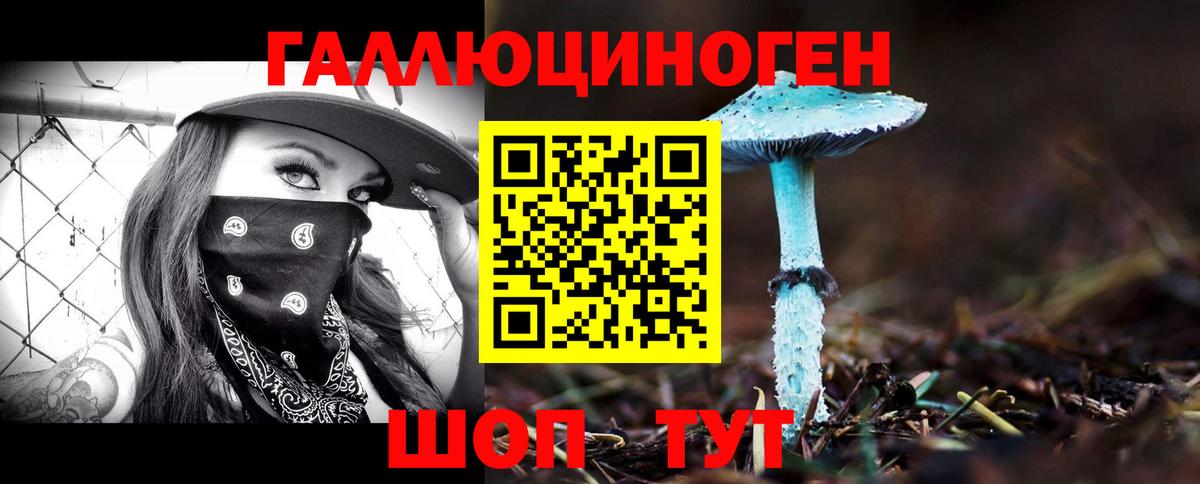 Клинцы  Псилоцибиновые грибы MAGIC MUSHROOMS  Галлюциногенные грибы Cubensis  Вход с VPN 