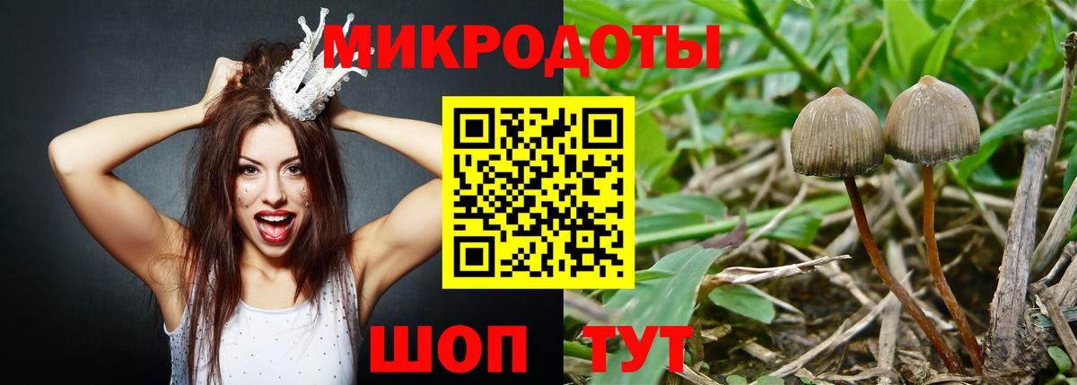 Галлюциногенные грибы прущие грибы Клинцы